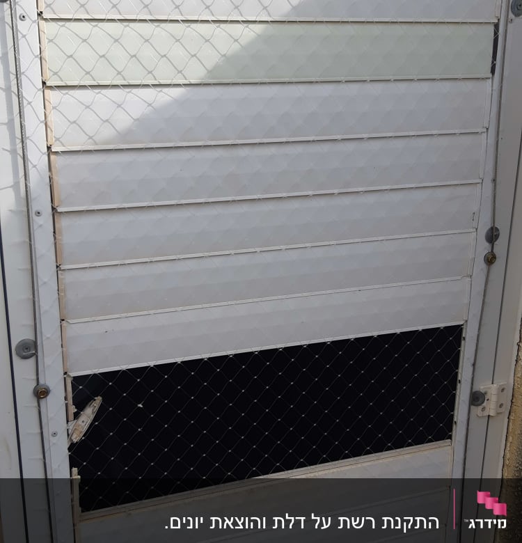 רשת מתכת על דלת למניעת כניסת יונים